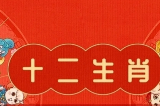全年资料大全:全年资料大全查询