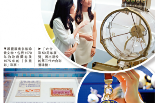 六叔公资料免费大全：六叔公资料免费大全查询