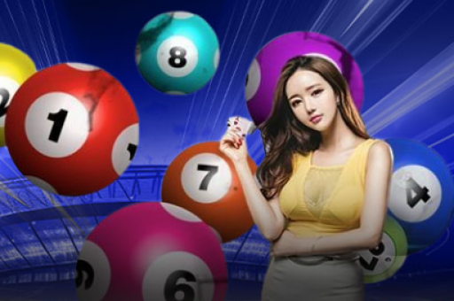 澳门六合彩记录第234期 澳门六合彩记录第234期